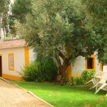 Вилла Quinta Do Pinhal Конштансия Экстерьер фото