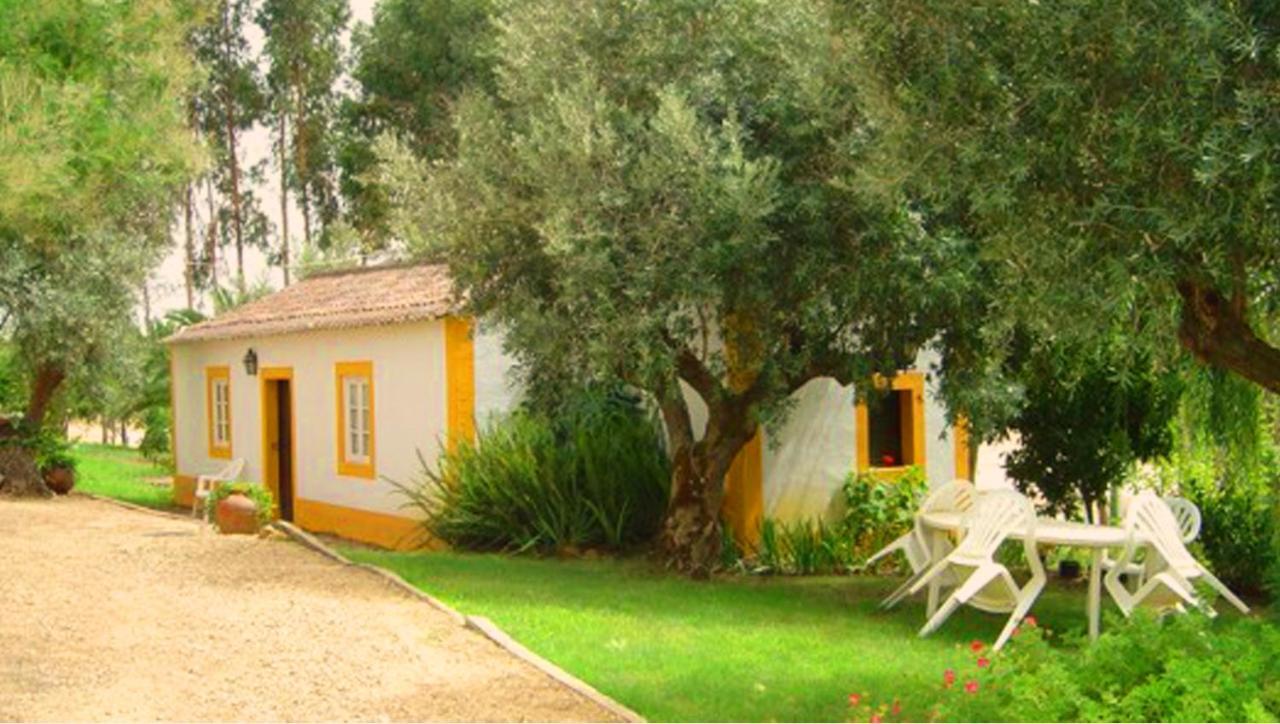 Вилла Quinta Do Pinhal Конштансия Экстерьер фото
