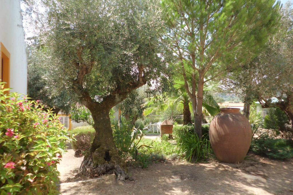 Вилла Quinta Do Pinhal Конштансия Экстерьер фото